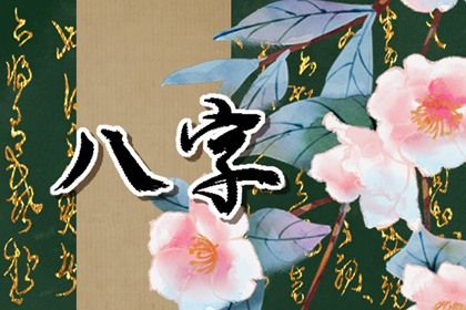 排盘软件会算起运吗