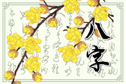卜八字卜卦免费 八字星辰算命 命生辰八字算命 八字解盘 批八字排盘系统