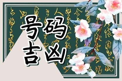 把号码当信息看