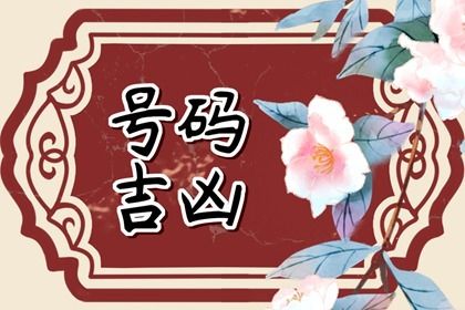 什么是变爻怎么看