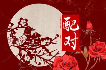 日历黄道吉日2026,日历黄道吉日,老黄历2026,万年历老黄历大全