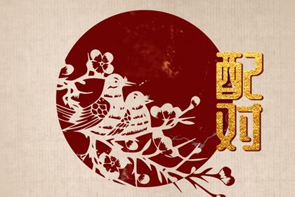 命宫互补的代表组合