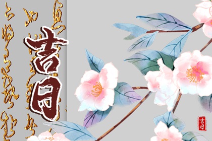 属相相冲的年份影响