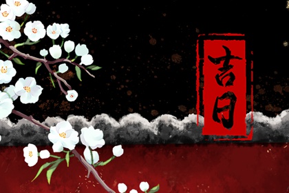 什么叫冲户主生肖