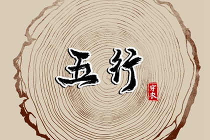 纳音的当代争议焦点