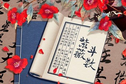 结果页信息量太大