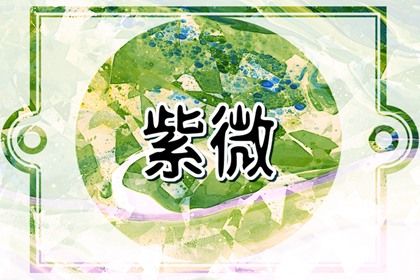 查询结果能当决定依据吗