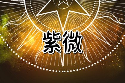 二十八宿怎么分组