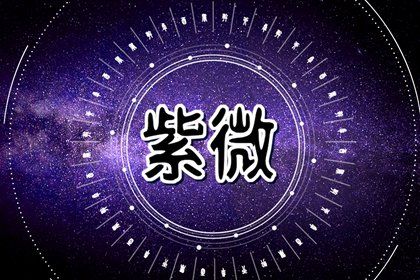 四柱信息怎么读